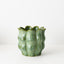 Oliva Pot