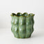Oliva Pot