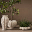 2 x Zasha Pot
