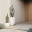 Pot Buta (set/2)