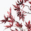 12 x Japanese Maple Leaf Spray