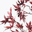 Japanese Maple Leaf Spray (Set of 12)