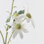 12 x Flannel Flower Spray