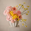 Cosmos Spray