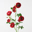 12 x Ranunculus Spray