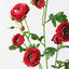 12 x Ranunculus Spray