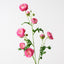 12 x Ranunculus Spray