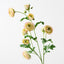12 x Ranunculus Spray