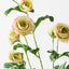 12 x Ranunculus Spray