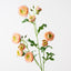 12 x Ranunculus Spray