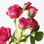 12 x Rose Bud Spray
