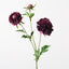 12 x Scabiosa Spray