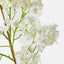 6 x Cohosh Flowering Spray