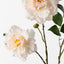12 x Camellia Spray