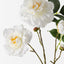 12 x Camellia Spray