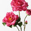 12 x Camellia Spray