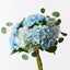 2 x Hydrangea Bundle