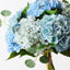 2 x Hydrangea Bundle