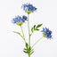 12 x Agapanthus Spray