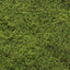 6 x Moss Sheet