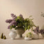 Angelica Spray (Set of 12)