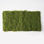 6 x Moss Sheet