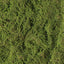 6 x Moss Sheet