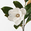 12 x Magnolia Tree Spray