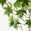 12 x Japanese Maple Leaf Spray