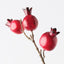 Pomegranate Spray (Set of 12)