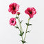 12 x Ranunculus Japanese Spray