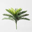 6 x Palm Cycad Bush
