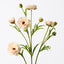 12 x Ranunculus Spray