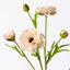 12 x Ranunculus Spray