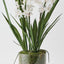 Orchid Cymbidium in Vase