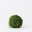 4 x Moss Ball