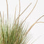 2 x Grass Cattail Plant
