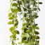 6 x Fern Button Hanging Bush