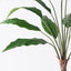 2 x Spathiphyllum Leaf Plant