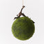 4 x Moss Hanging Ball