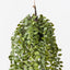 2 x Fern Button Hanging Ball