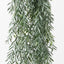 6 x Acacia Leaf Hanging Bush