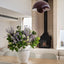 Allium