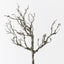 12 x Twig Coral Branch