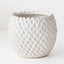 Skalee Pot (Set of 2)