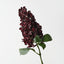 Hydrangea Cone
