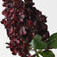 Hydrangea Cone