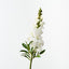 Snapdragon
