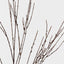 Twig Spray