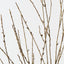 Twig Spray